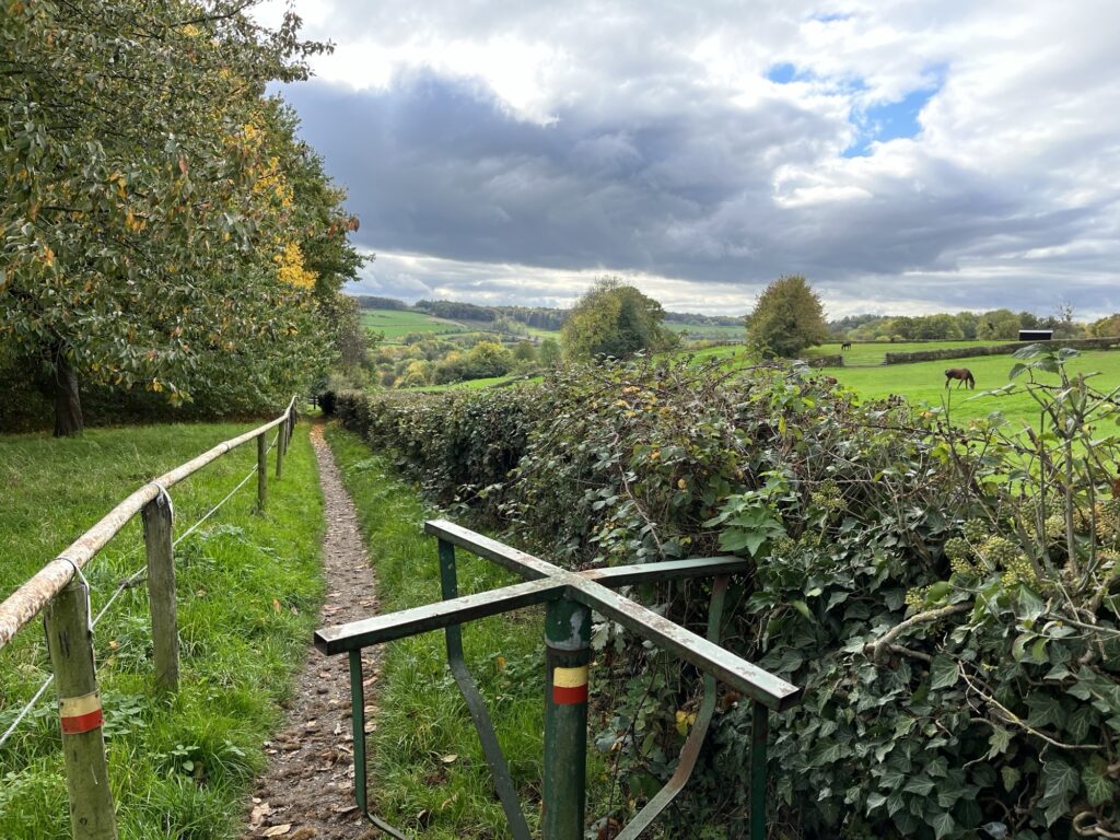 Wandeltocht Krijtlandpad
